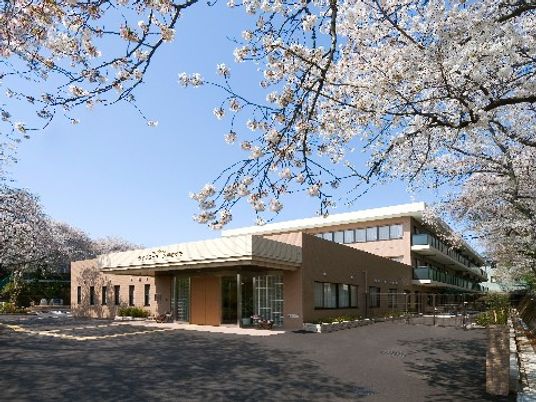 桜の木と建物の外観