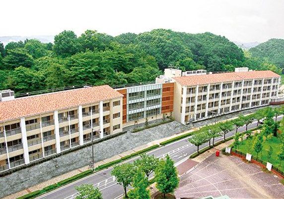 緑に囲まれた建物全体