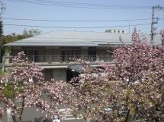 桜に囲まれた外観