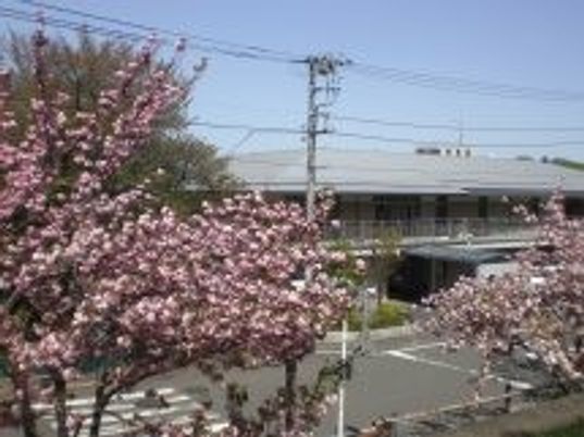 桜の木がある外観