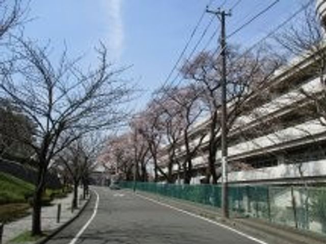 桜が咲く通り 外観 桜並木が続く穏やかな通りです。景観を楽しみながら、心地よく働ける環境かもしれません。