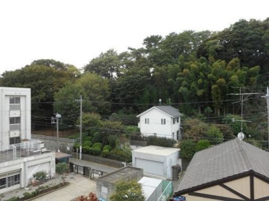 緑豊かな外観