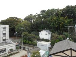 緑豊かな眺望エリア