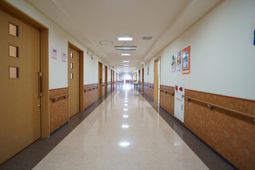 廊下が光に満ちた空間