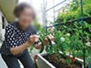 庭での活動