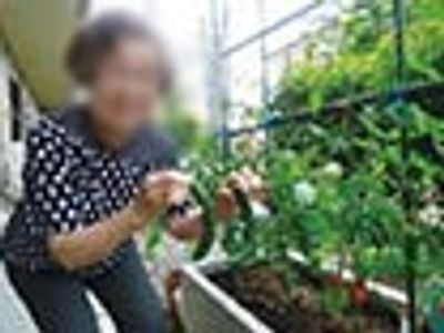 庭での活動