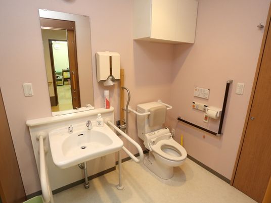 個室には便器と洗面台がある。壁と洗面台の両端に手摺が設置され、便器の上には背もたれが用意されている。