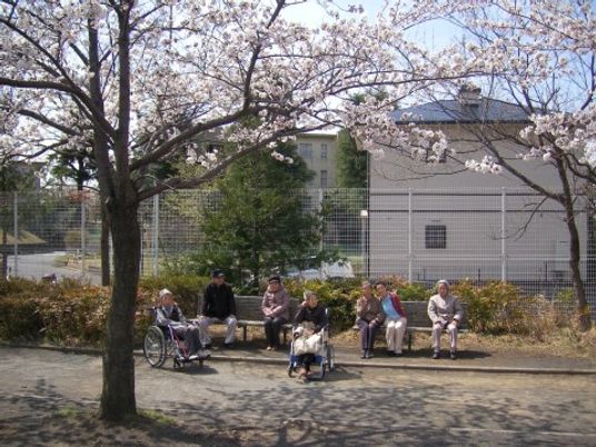 桜の木と共に過ごす利用者たち