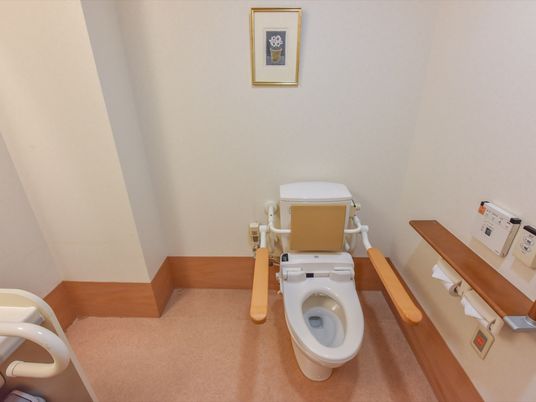 トイレは両手ひじ掛け、クッション背もたれが付いている。洗浄などの操作は手前のボタンで行うことができる。
