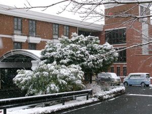 雪の降る建物外観  