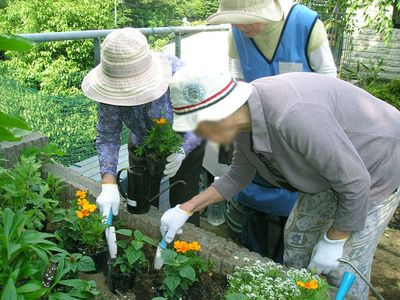 庭での植物手入れ
