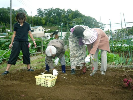 畑作業をする人々