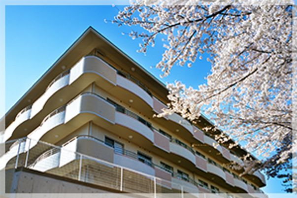 桜と建物の外観