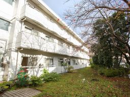 建物と緑の外観