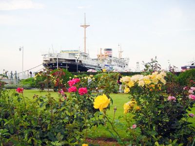 花が咲く清々しい庭