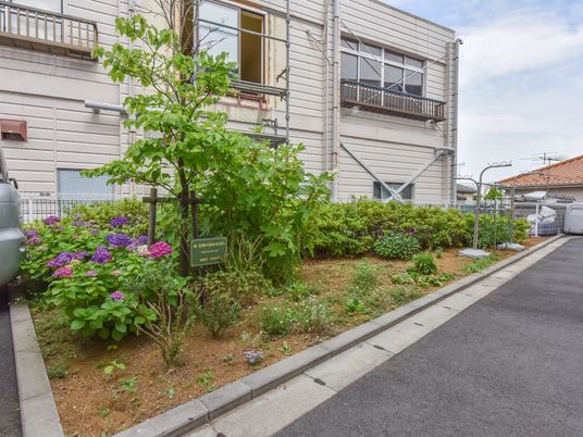 緑に囲まれた建物外観