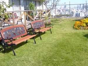 芝生の庭のベンチ庭  