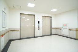 清潔な廊下とエレベーター