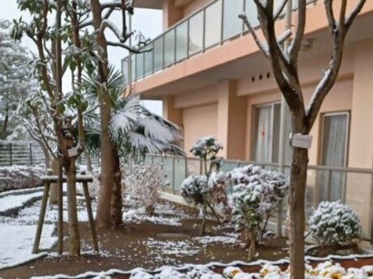 雪の中庭  