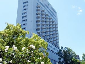 高層ビルと緑の景観