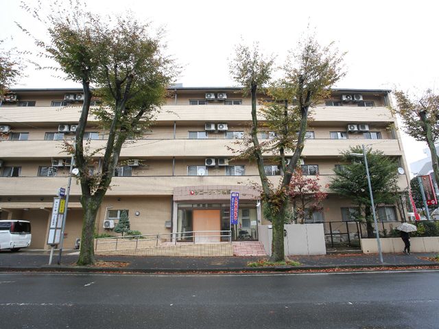 街路樹に囲まれた建物外観 外観 落ち着いた色合いの外観が心地よく、通りに面しアクセスしやすい環境です。