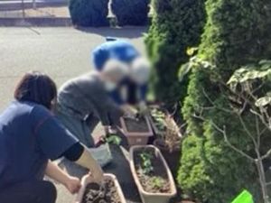 庭で植物を育てる様子