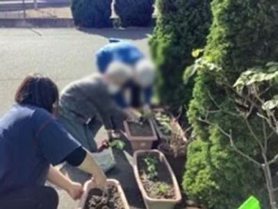 庭で植物を育てる様子