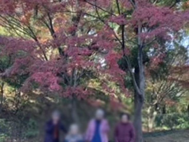 色鮮やかなもみじの木 庭 職員と共に紅葉を楽しめるエリアです。自然の中でリフレッシュできます。