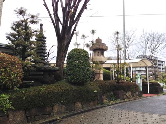 落ち着いた庭園風景