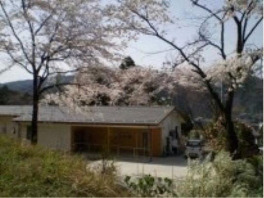 桜並木と施設外観