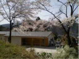 桜と建物の春景色