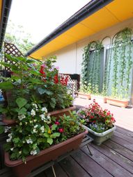 中庭の色とりどりの花