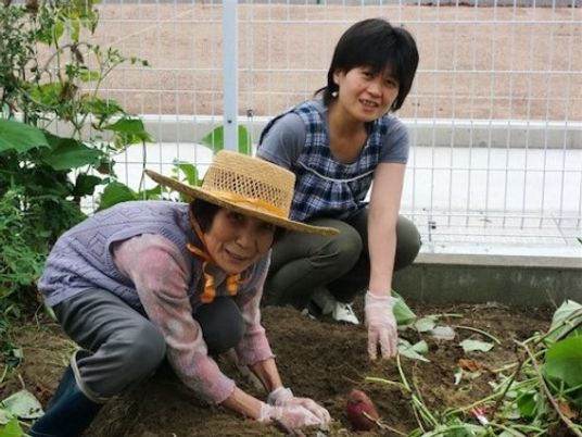 庭での園芸作業