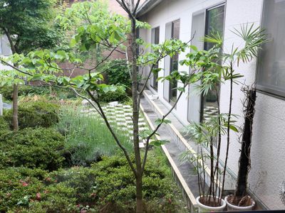 緑豊かな施設の中庭