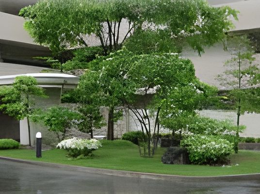 緑豊かな庭