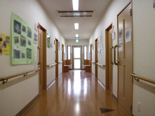明るい廊下と掲示物