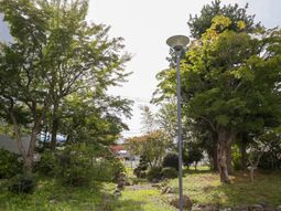 緑豊かな中庭風景