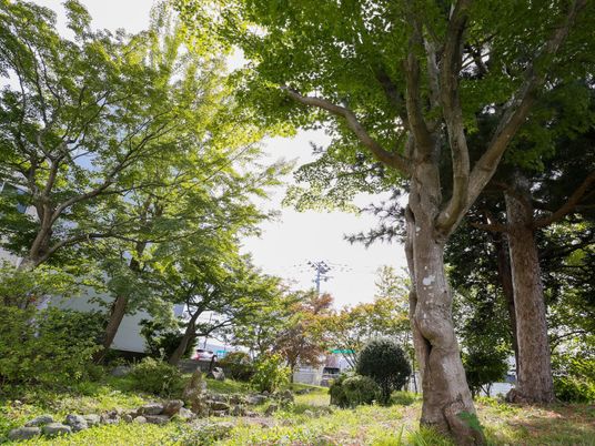 緑豊かな施設の庭