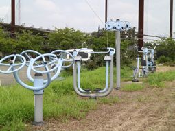 屋外の運動機器列