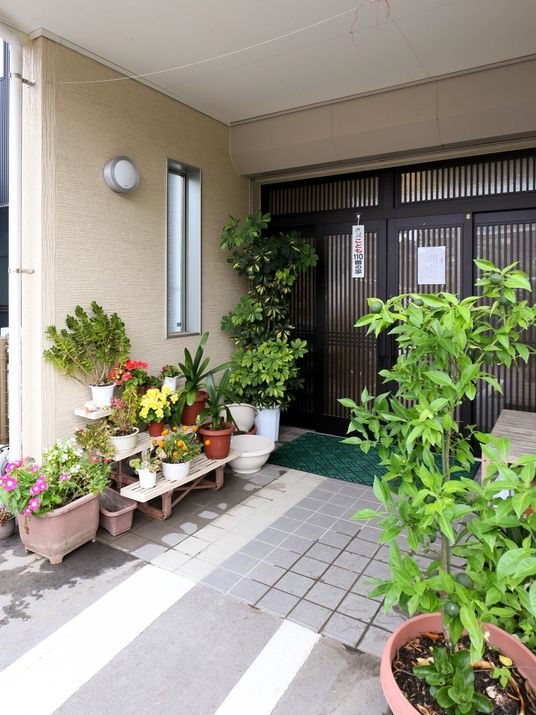 入口に植物が並ぶ