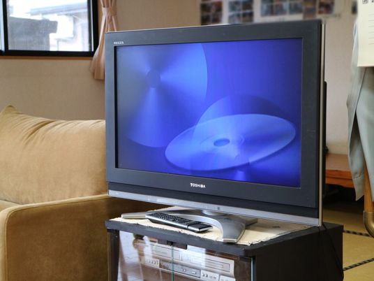 居室のテレビとソファ