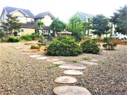 緑豊かな中庭風景