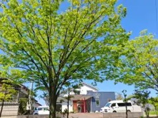 施設前の緑の木々と建物外観  