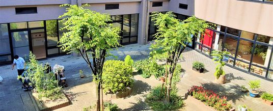 大きな中庭