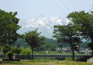 緑と山の風景