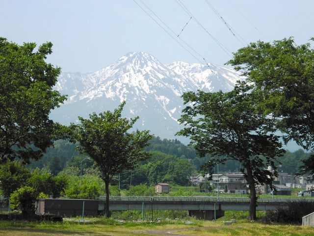 緑と山の風景 庭 緑豊かな環境では、リフレッシュできる散策をお楽しみいただけます。