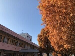秋色の建物外観  