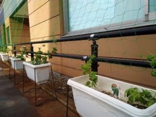 植木鉢のあるテラス  