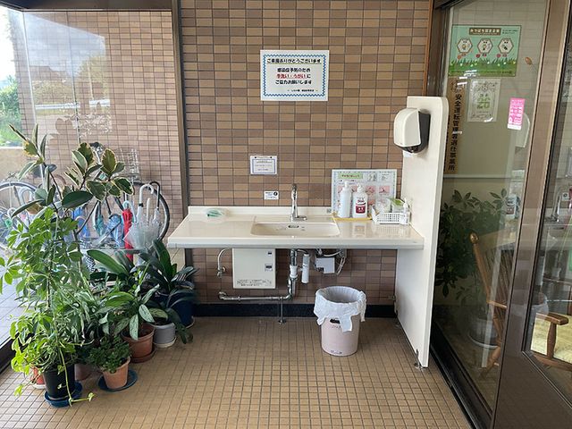 手洗いスペースの設備 内観 植物が並ぶ手洗いコーナーです。清潔で過ごしやすい環境が整っています。