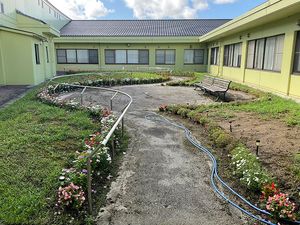 花壇がある庭